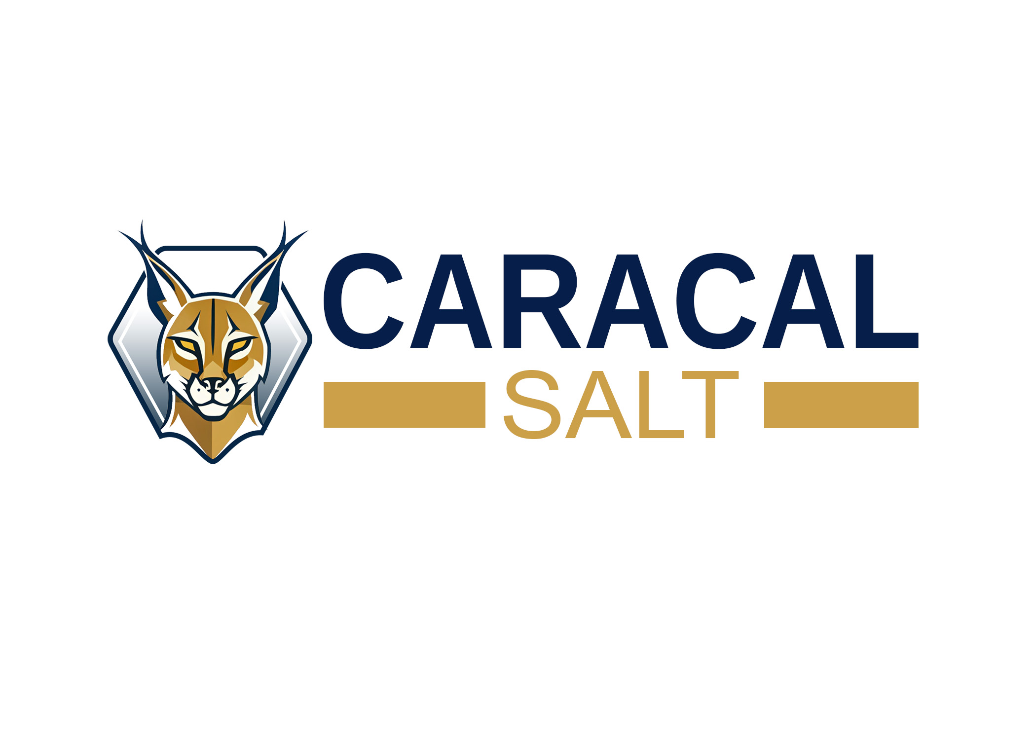 caracal logo 3
