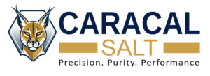 caracal logo 4