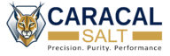 cropped caracal logo 4.jpg